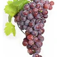 Parra De Uva Red Globe Árbol Frutal Injertado - Miniatura 1