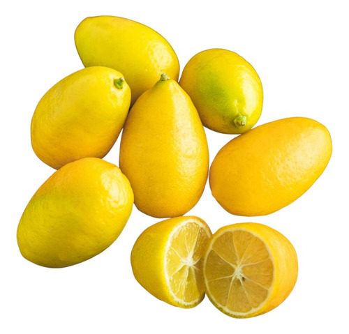 Limequat Limonero Enano Frutal Exótico 1