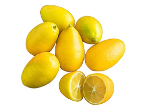 Limequat Limonero Enano Frutal Exótico