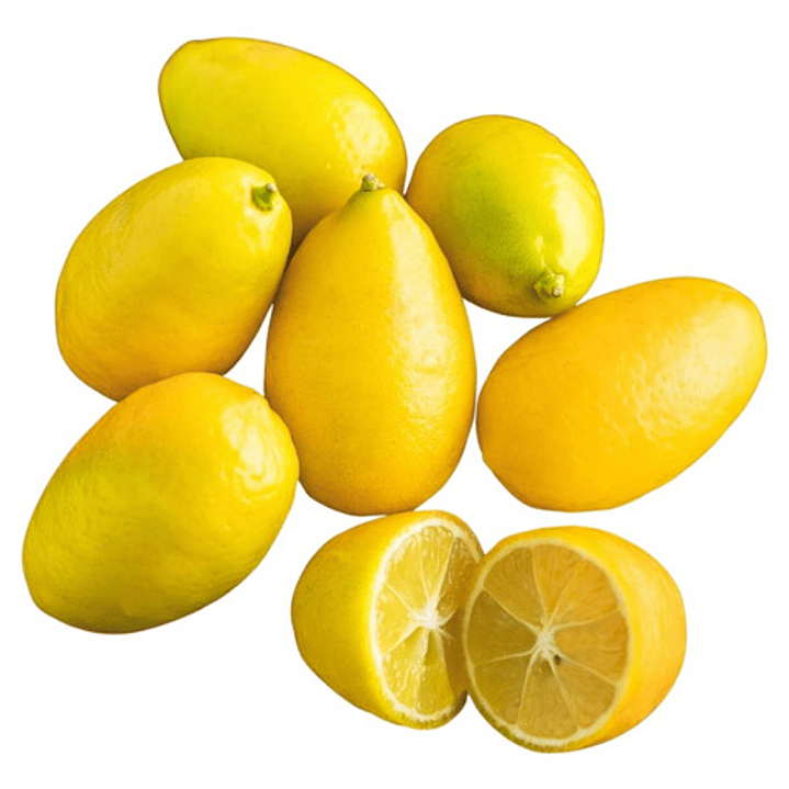 Limequat Limonero Enano Frutal Exótico 1