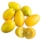 Limequat Limonero Enano Frutal Exótico - Miniatura 1