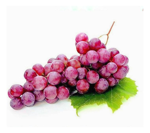 Parra De Uva Crimson Seedless Árbol Frutal Injertado 1
