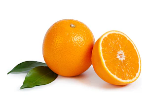 Naranjo Thompson Injertado Frutal Naranja