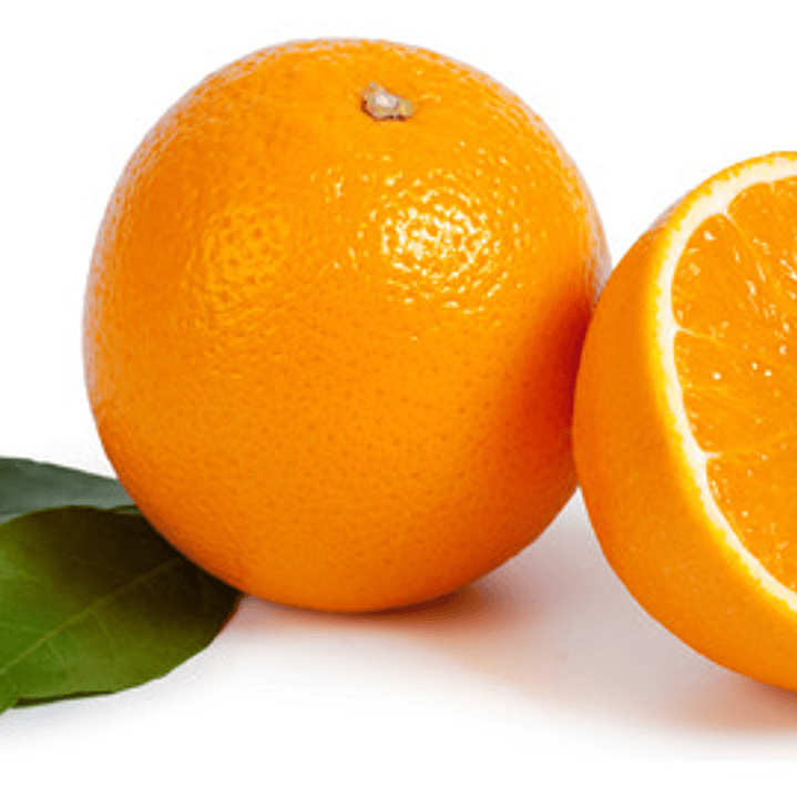 Naranjo Thompson Injertado Frutal Naranja 1