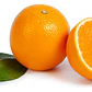 Naranjo Thompson Injertado Frutal Naranja - Miniatura 1