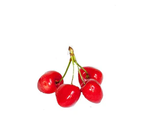 Cerezo Corazón De Paloma Árbol Frutal Injertado
