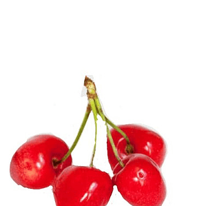 Cerezo Corazón De Paloma Árbol Frutal Injertado