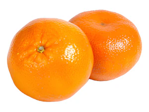 Clementina Clementinero Árbol Frutal Injertado