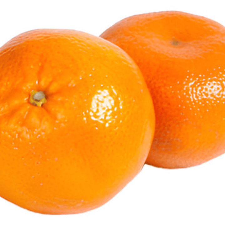 Clementina Clementinero Árbol Frutal Injertado 1