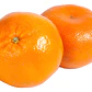 Clementina Clementinero Árbol Frutal Injertado - Miniatura 1