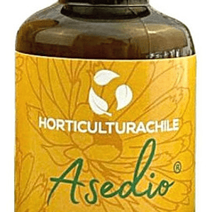 Asedio Jabón Potásico Con Aceite De Neem Ecológico 280 Cc 