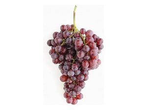 Parra De Uva Moscatel Rosada Árbol Frutal Injertado