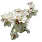 Raphiolepis Arbusto Ornamental - Miniatura 2