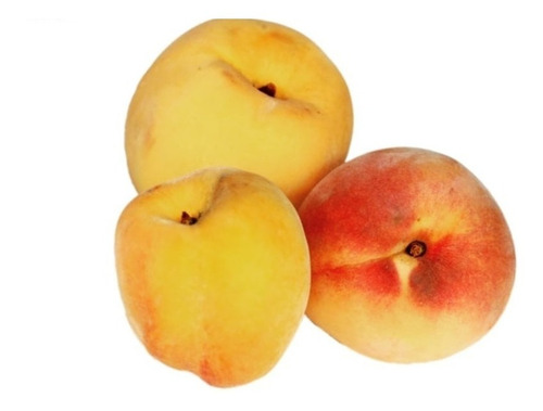 Durazno Pomona Árbol Frutal Injertado 1