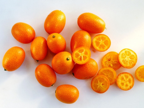 Kumquat Quinoto Pequeño Naranjo enano chino Árbol Frutal 2