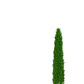Pino Piramidal Ciprés Italiano Macetero 1,5 Mts - Miniatura 1