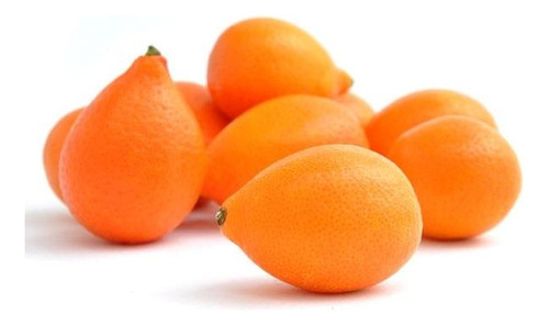 Mandanrinquat Frutal Exótico 1