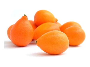 Mandanrinquat Frutal Exótico