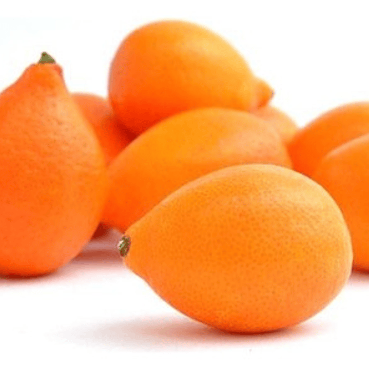 Mandanrinquat Frutal Exótico 1