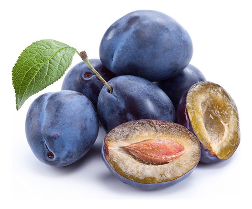 Ciruelo D'agen Ciruela Árbol Frutal 1