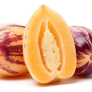 Pepino Dulce En Fruta Solanum Maricatum Arbusto Frutal