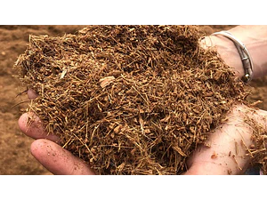 Sustrato De Fibra De Coco Para Cultivo Y Jardinería Bolsa