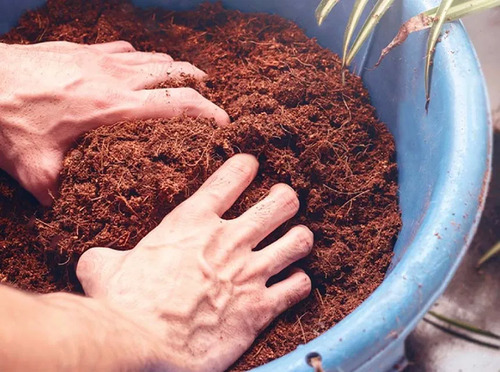 Sustrato De Fibra De Coco Para Cultivo Y Jardinería Bolsa 2