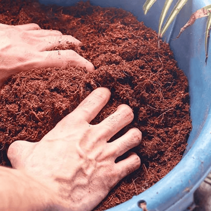 Sustrato De Fibra De Coco Para Cultivo Y Jardinería Bolsa 2