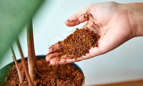 Sustrato De Fibra De Coco Para Cultivo Y Jardinería Bolsa 3
