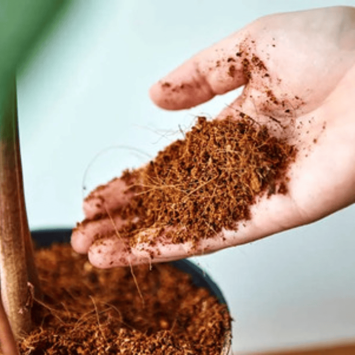 Sustrato De Fibra De Coco Para Cultivo Y Jardinería Bolsa 3