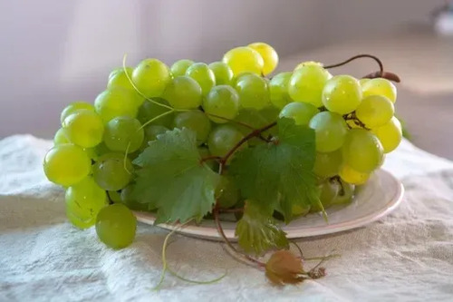 Parra Uva Superior Blanca Sin Pepas De Mesa Árbol Frutal 2