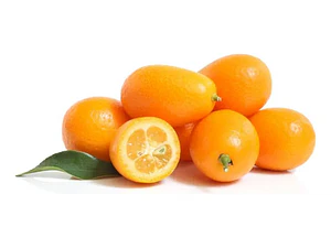  Kumquat Grande Con Frutos Árbol Frutal Naranjo Enano