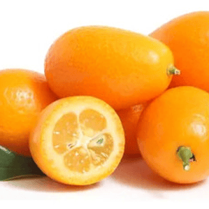  Kumquat Grande Con Frutos Árbol Frutal Naranjo Enano
