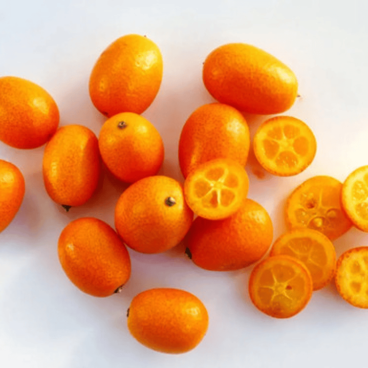  Kumquat Grande Con Frutos Árbol Frutal Naranjo Enano 4