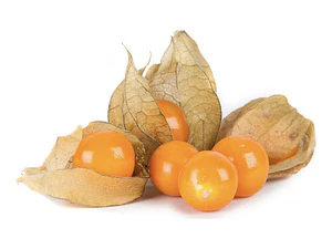 Golden Berry Physalis Fisalis Uchuva Medicinal