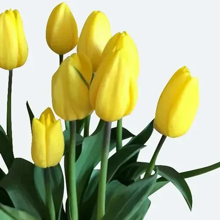 Bulbo Tulipán Strong Gold 1