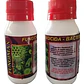 Fungimax Fungicida Bactericida Acción 50ml - Miniatura 1