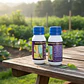 Dimetoato Insecticida Control 50 Ml - Miniatura 2