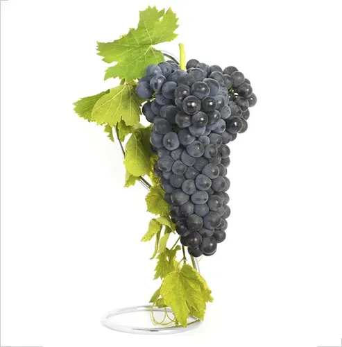 Parra Uva Syrah Árbol Frutal Vinícola 1
