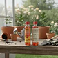 pack fertilizante cítricos y rosas 250 ml - Miniatura 3