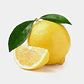 Arbol Frutal Exótico Limon Lima Dulce - Miniatura 1