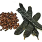 Algarrobo Europeo 2,5 mt Seratonia Siliqua Árbol Ornamental - Miniatura 3