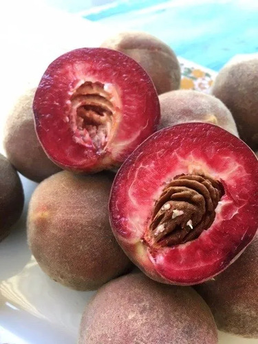 Durazno Beterraga Árbol Frutal 1