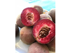 Durazno Beterraga Árbol Frutal