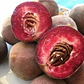 Durazno Beterraga Árbol Frutal - Miniatura 1