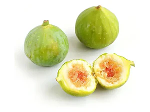 Higuera Blanca Grande Árbol Frutal