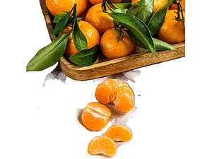 Mandarino Murcott Honey Tangerine Árbol Frutal