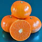 Mandarino Murcott Honey Tangerine Árbol Frutal - Miniatura 3