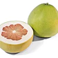 Pomelo Chino Pamplemusa Árbol Frutal Exótico - Miniatura 1