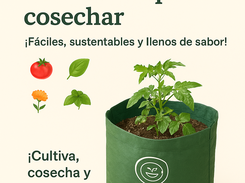 🌱 Cómo cuidar tu mini huerto día a día